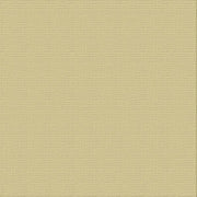 CARD STOCK 216GSM 5pack - Driftwood